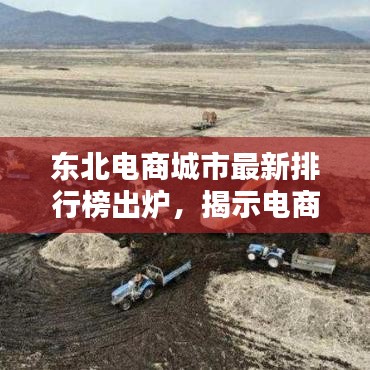 东北电商城市最新排行榜出炉，揭示电商在东北的迅猛崛起