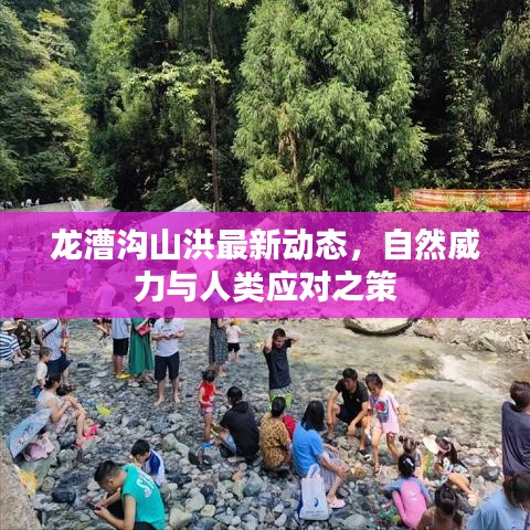 龙漕沟山洪最新动态，自然威力与人类应对之策