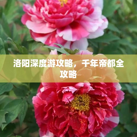 洛阳深度游攻略，千年帝都全攻略