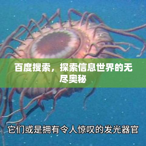 2025年5月17日