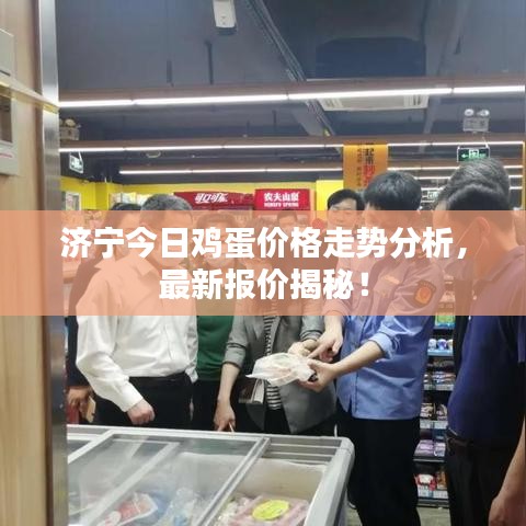 济宁今日鸡蛋价格走势分析，最新报价揭秘！