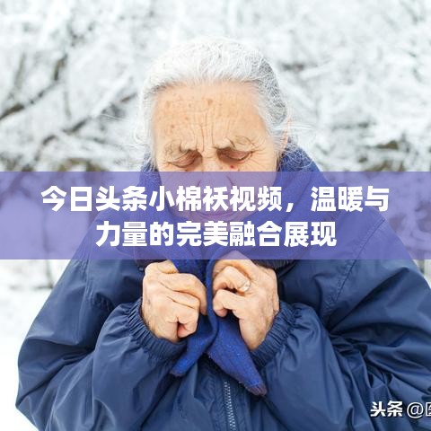 今日头条小棉袄视频，温暖与力量的完美融合展现
