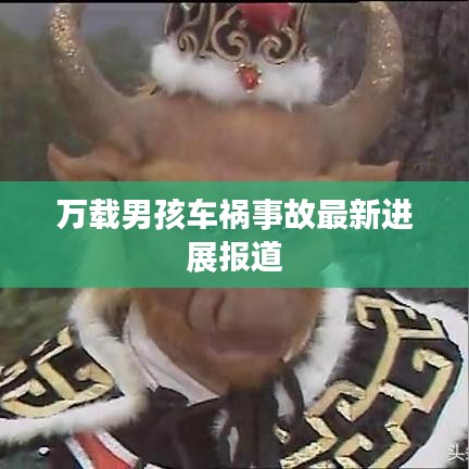 万载男孩车祸事故最新进展报道