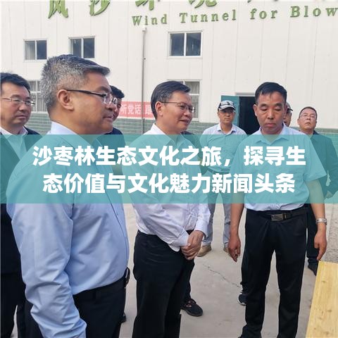 沙枣林生态文化之旅，探寻生态价值与文化魅力新闻头条