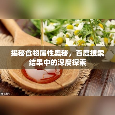 揭秘食物属性奥秘，百度搜索结果中的深度探索