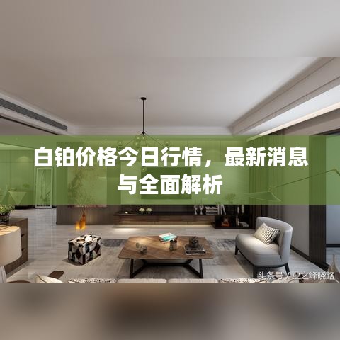 白铂价格今日行情，最新消息与全面解析