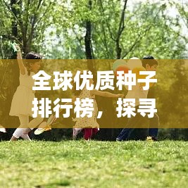 全球优质种子排行榜，探寻种子界的奥秘之旅