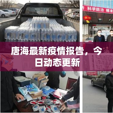 唐海最新疫情报告，今日动态更新