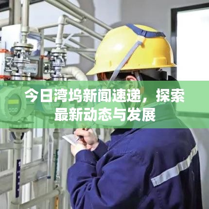 今日湾坞新闻速递，探索最新动态与发展