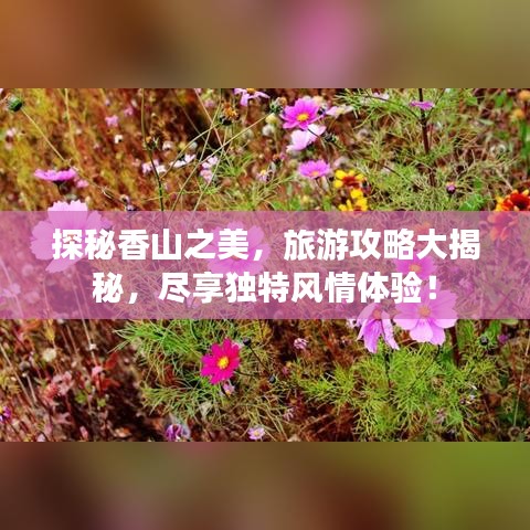 探秘香山之美，旅游攻略大揭秘，尽享独特风情体验！