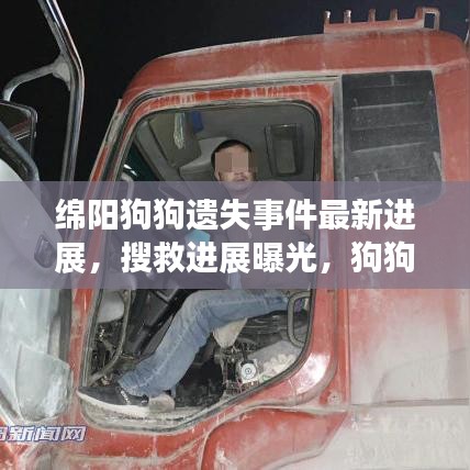绵阳狗狗遗失事件最新进展，搜救进展曝光，狗狗命运牵动人心