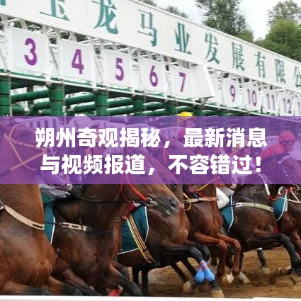 朔州奇观揭秘，最新消息与视频报道，不容错过！