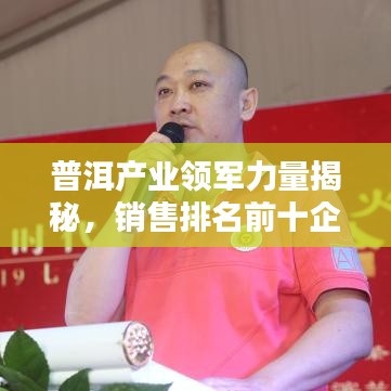 普洱产业领军力量揭秘，销售排名前十企业榜单