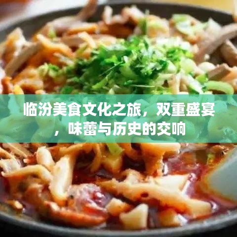 临汾美食文化之旅，双重盛宴，味蕾与历史的交响