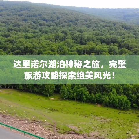 达里诺尔湖泊神秘之旅，完整旅游攻略探索绝美风光！