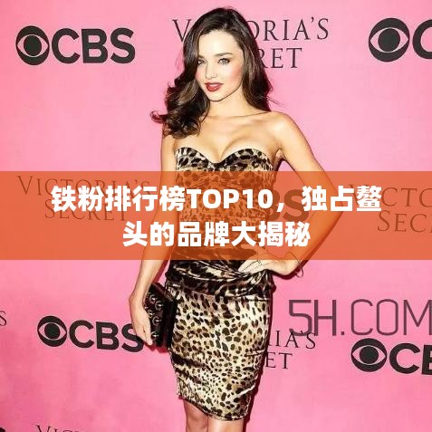 铁粉排行榜TOP10，独占鳌头的品牌大揭秘