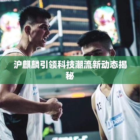 沪麒麟引领科技潮流新动态揭秘