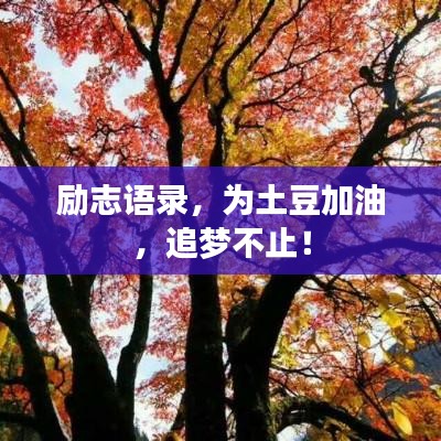 励志语录，为土豆加油，追梦不止！