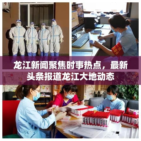 龙江新闻聚焦时事热点，最新头条报道龙江大地动态