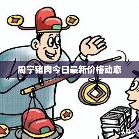 周宁猪肉今日最新价格动态
