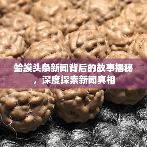 蛤蟆头条新闻背后的故事揭秘，深度探索新闻真相