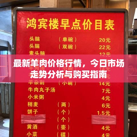 最新羊肉价格行情，今日市场走势分析与购买指南