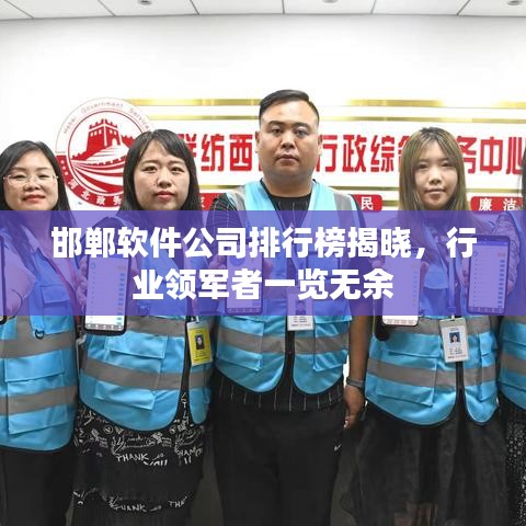 邯郸软件公司排行榜揭晓，行业领军者一览无余