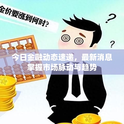 今日金融动态速递，最新消息掌握市场脉动与趋势
