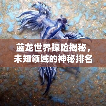 蓝龙世界探险揭秘，未知领域的神秘排名揭晓