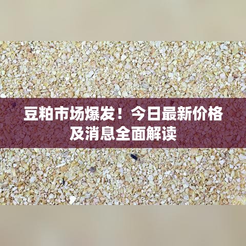 豆粕市场爆发！今日最新价格及消息全面解读