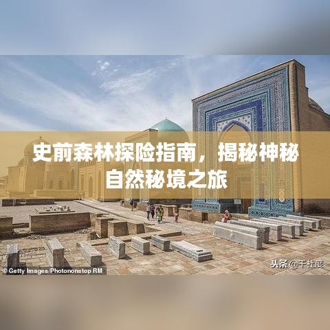 史前森林探险指南，揭秘神秘自然秘境之旅