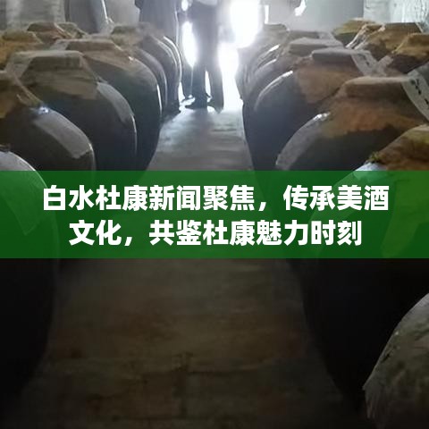 白水杜康新闻聚焦，传承美酒文化，共鉴杜康魅力时刻