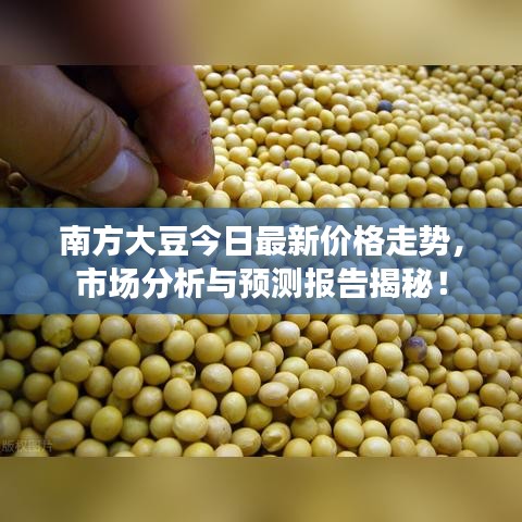 南方大豆今日最新价格走势，市场分析与预测报告揭秘！