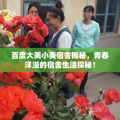 百度大美小美宿舍揭秘，青春洋溢的宿舍生活探秘！