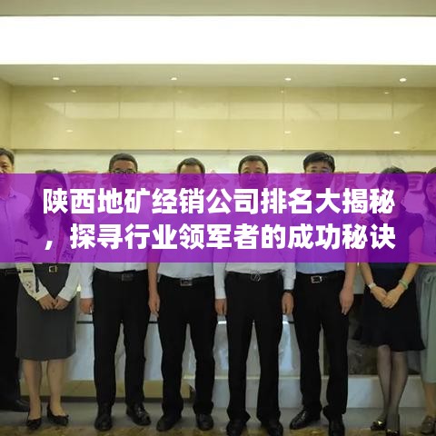 陕西地矿经销公司排名大揭秘，探寻行业领军者的成功秘诀！