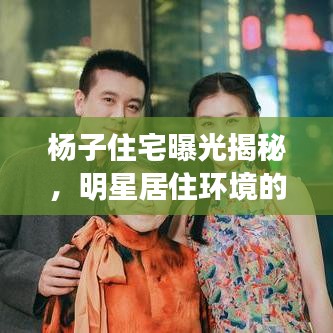 杨子住宅曝光揭秘，明星居住环境的最新视频大全