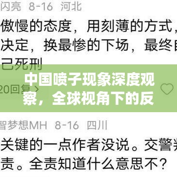 中国喷子现象深度观察，全球视角下的反思与剖析