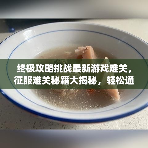 终极攻略挑战最新游戏难关，征服难关秘籍大揭秘，轻松通关带你飞！