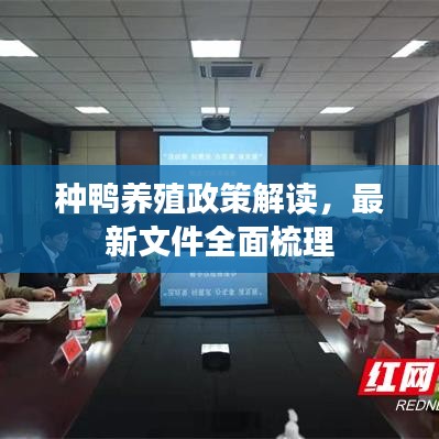 种鸭养殖政策解读，最新文件全面梳理