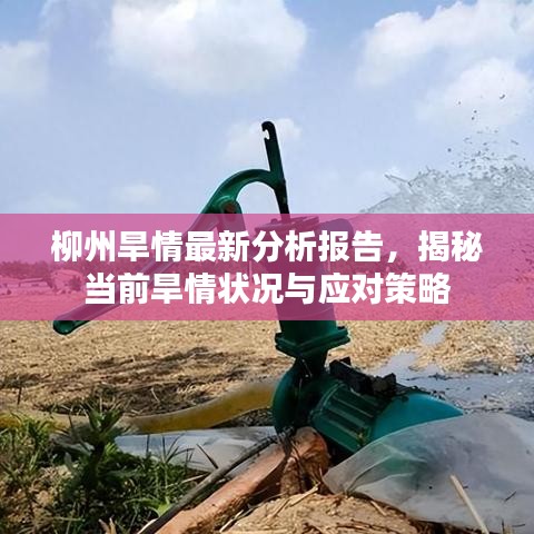 柳州旱情最新分析报告，揭秘当前旱情状况与应对策略