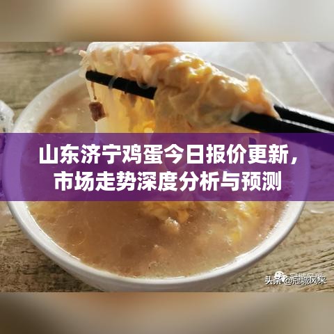 山东济宁鸡蛋今日报价更新，市场走势深度分析与预测