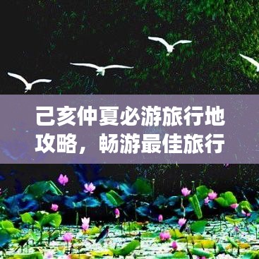 己亥仲夏必游旅行地攻略，畅游最佳旅行目的地