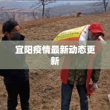 宜阳疫情最新动态更新