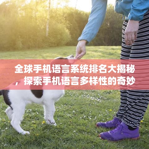 全球手机语言系统排名大揭秘，探索手机语言多样性的奇妙之旅
