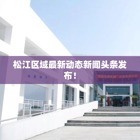 松江区域最新动态新闻头条发布！