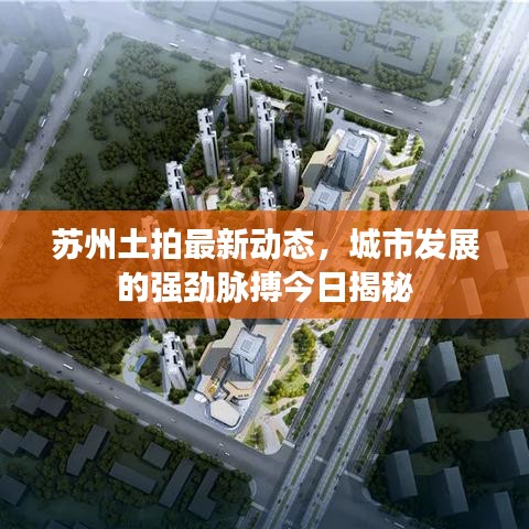苏州土拍最新动态，城市发展的强劲脉搏今日揭秘