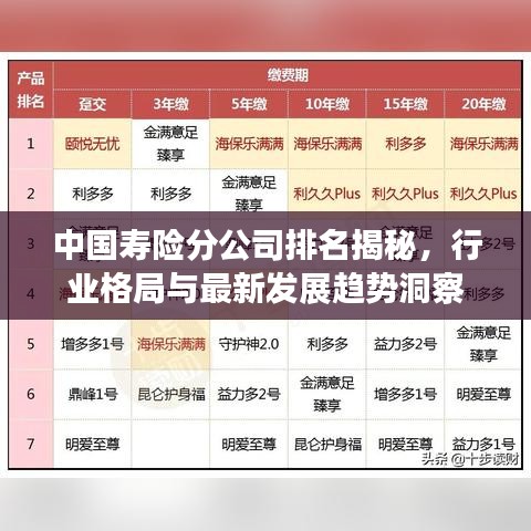 中国寿险分公司排名揭秘，行业格局与最新发展趋势洞察