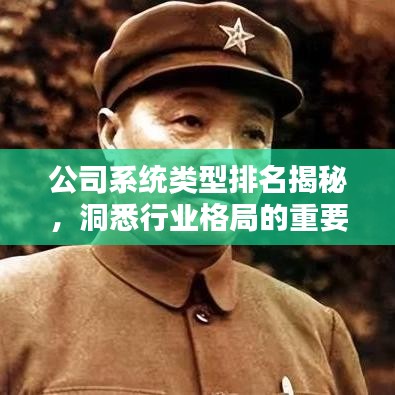 公司系统类型排名揭秘，洞悉行业格局的重要指标概览