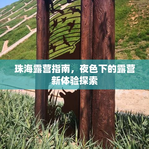 珠海露营指南，夜色下的露营新体验探索