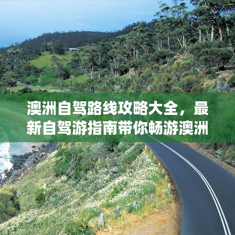 澳洲自驾路线攻略大全，最新自驾游指南带你畅游澳洲